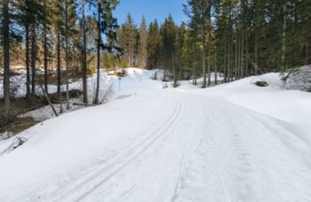 Det var helt greie forhold mellom Skoglund og Burås i kveld, med nok sne og brukbare spor. Det var 20 varmegrader på parkeringsplassen på Skoglund da turen startet, men det var en del kjøligere i skyggepartiene i løypetraseen.