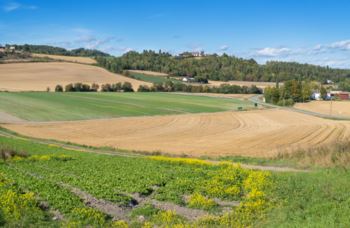 Sykkelrute 1023 (Svensrud – Bønsnes – Leinetajet) går gjennom et fruktbart landskap som har visse likheter med Toscana. Det var helt fantastisk å sykle her i dag, i solskinn og 20 varmegrader.
