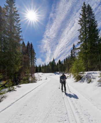 Det er ikke ofte skiforholdene er så gode som nå i månedsskiftet april/mai. I formiddag ble skiløperne møtte med flere nypreparerte løyper i Vestmarka, og solen skinte og varmet. Bildet er tatt på skogsbilveien sørvest for Store Sandungen.