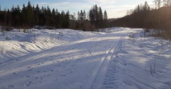 Veldig fine forhold på veiene i Kjekstadmarka i dag. Her på Lyfjellveien (løype 327).