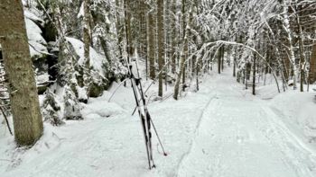 Trolldalen i Østmarka er smal og spennende, og kan være utfordrende på ski. Her omtrent midt i har fotografen parkert skiene for å ta en ørliten avstikker til en gammel geocache. Nok en gang et hyggelig turkrydder. I dag var det nullføre.