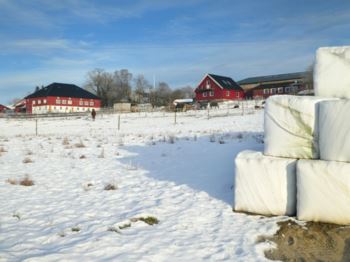 Søndre Hasle er en av de store gårdene på Nesodden, hvor Hasle Hestesportsklubb holder til. Bildet er tatt mot nordøst.